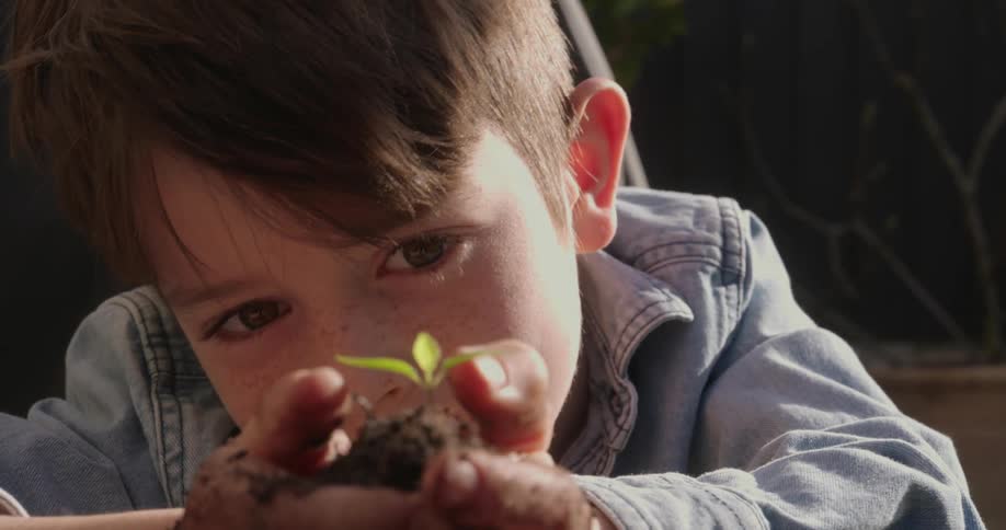 A boy is looking at some dirt with a plant growing in his hands
