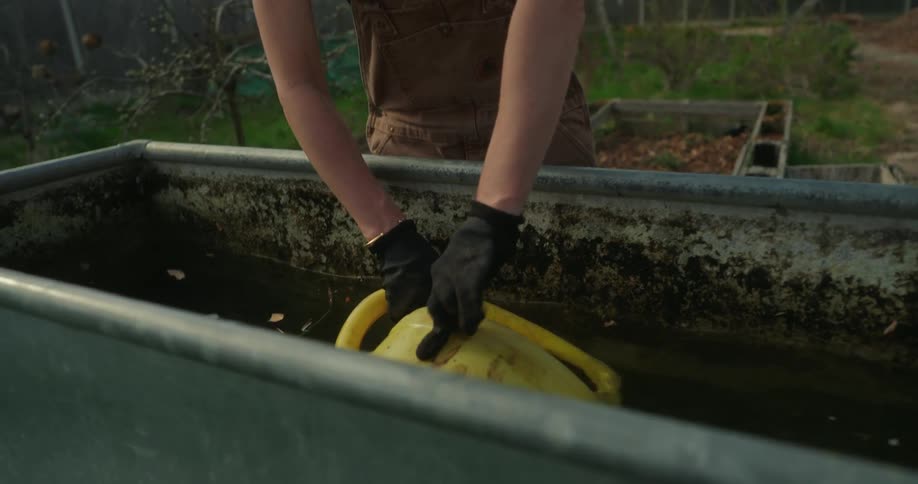 A woman wearing overalls dips a yellow watering can into a large metal trough to fill it with water in an outdoor garden area