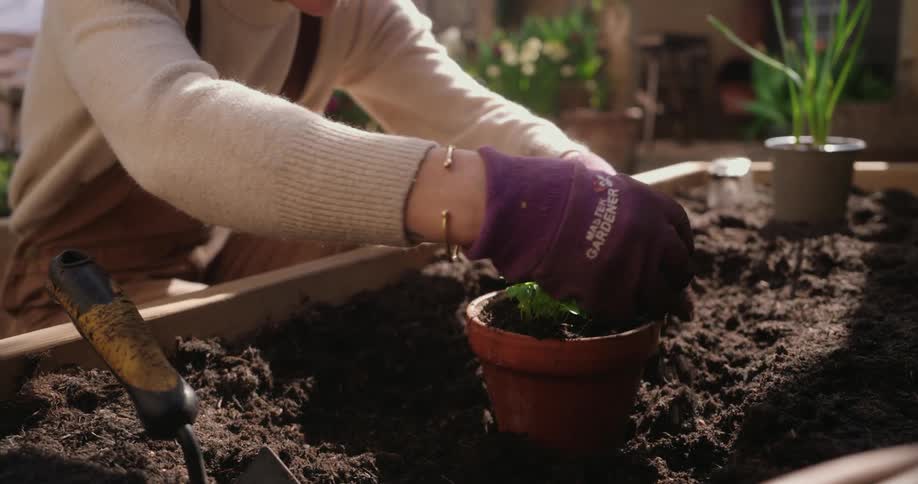 A woman is planting in a pot in her garden