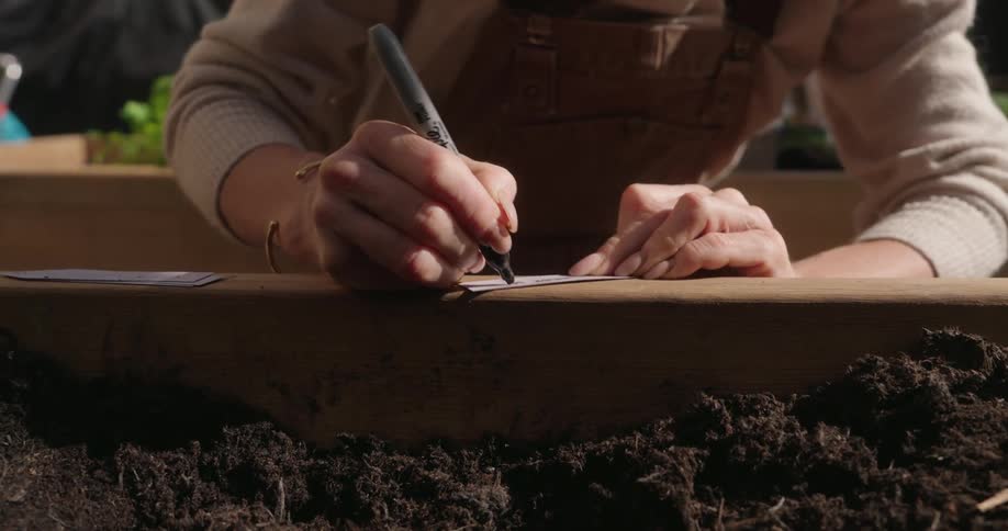 Close up of a pair of hands writing