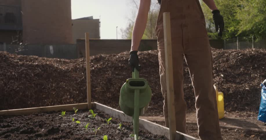 A blonde woman waters a raised garden bed with a green watering can