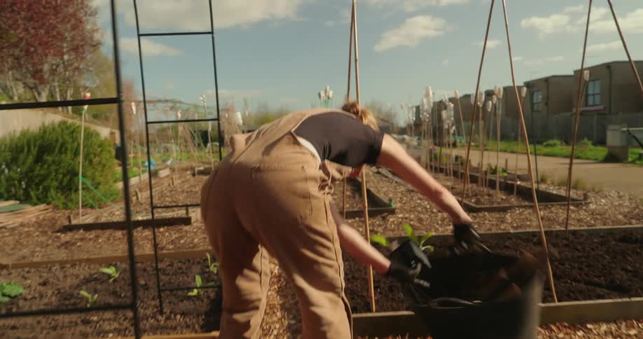 A blonde woman sets a large metal bucket on top of a raised garden bed on an autumn day