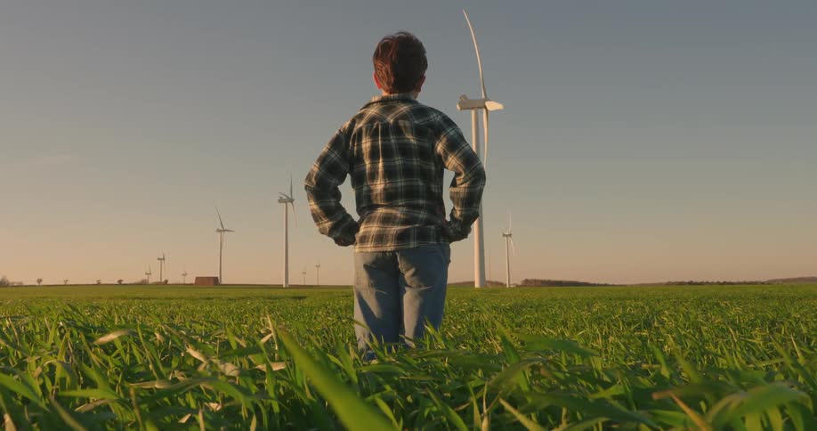A person stands in a field of tall grass looking out at a landscape dotted with wind turbines under a warm hazy sky