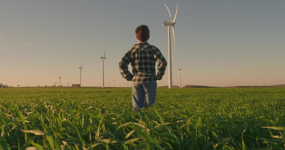Person with hands on hips in a farm field