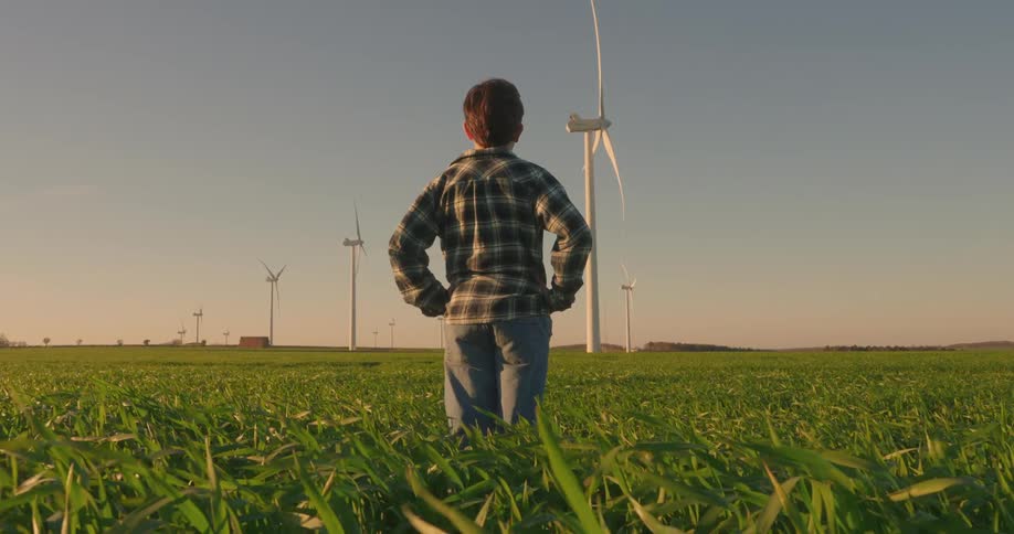 Back view of a boy with hands on hips in an agricultural field with wind turbines