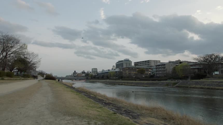 A bird flies over the canal on a cloudy day