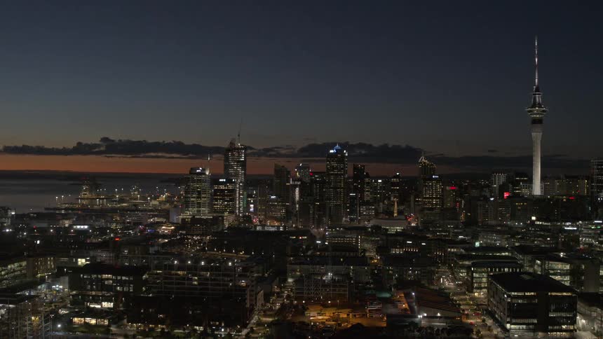 Aerial view of a modern metropolis illuminated at night and the seaside