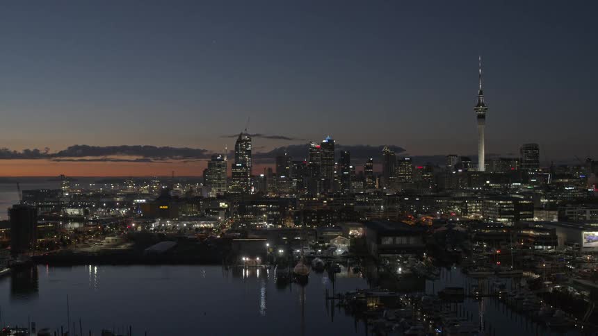 Aerial of a boat harbor in a metropolitan area at night