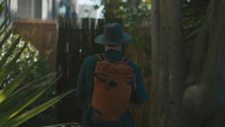 A person walking in the woods