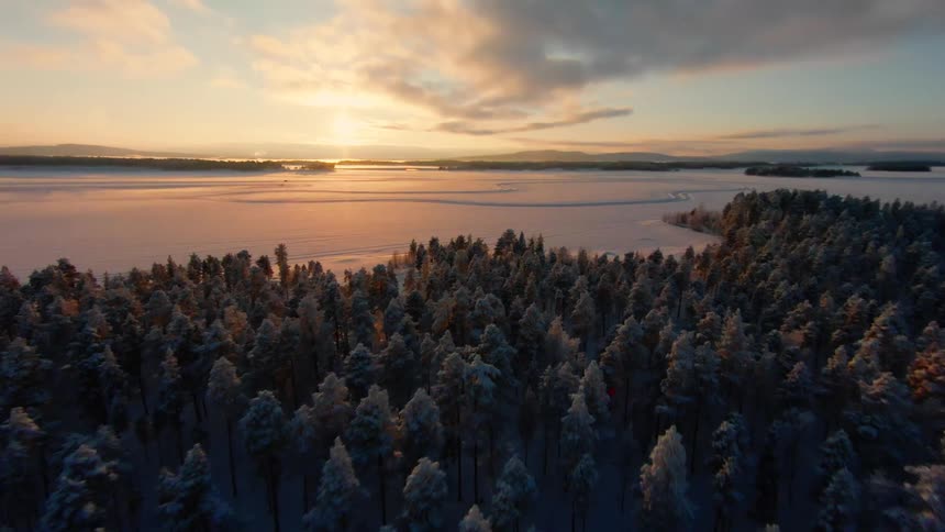 Aerial landscape of a coniferous forest in the foreground by the sea with the sunrise on the horizon