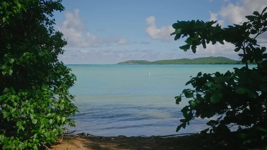 A tranquil view of a light blue bay framed by lush green foliage on the shoreline under a partly cloudy sky