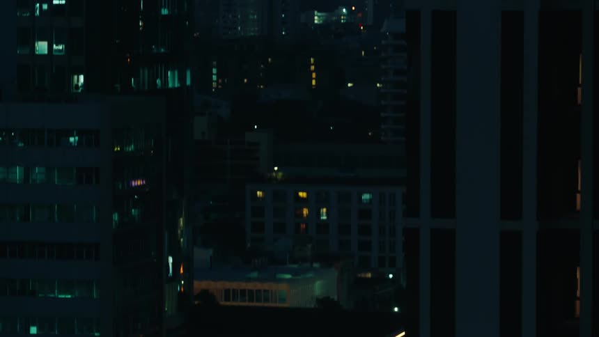 Tall rows of buildings fill the large city