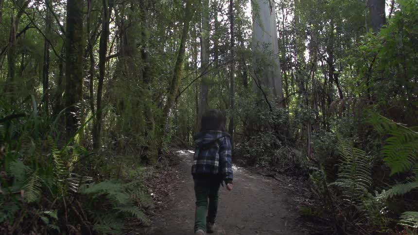 Boy runs through the woods