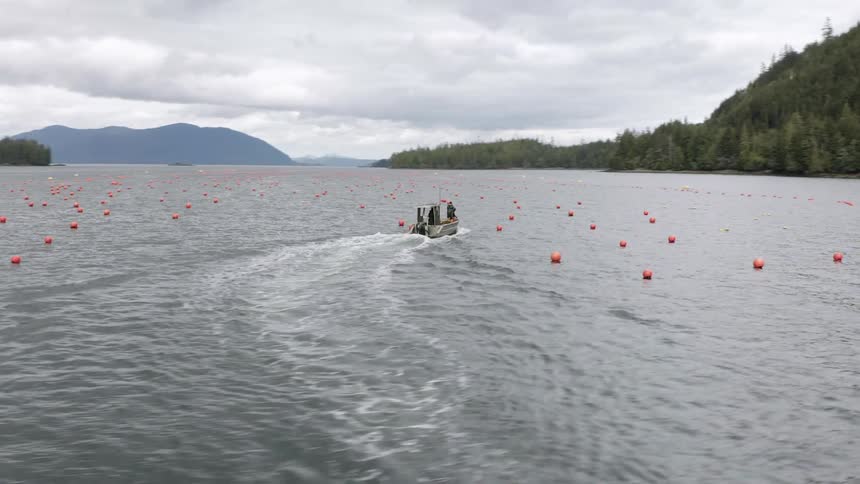 Small boat with some people traveling through the sea with orange buoys