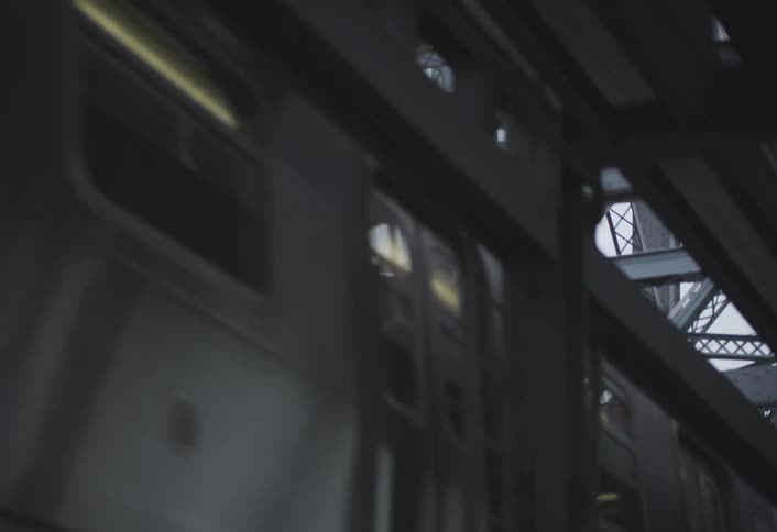 Train traveling on a metal bridge through the metropolis