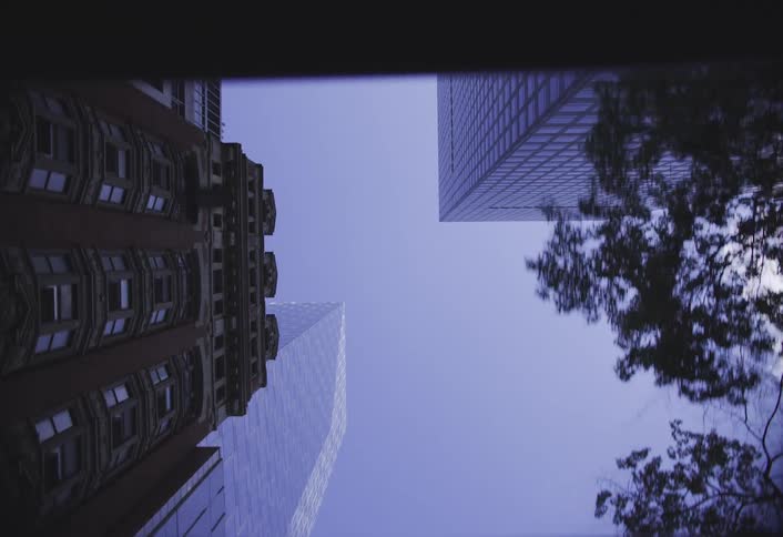 Trees line in a city full of skyscrapers