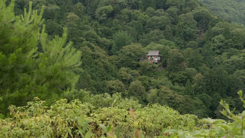 View of a small cabin in a tree covered mountain side
