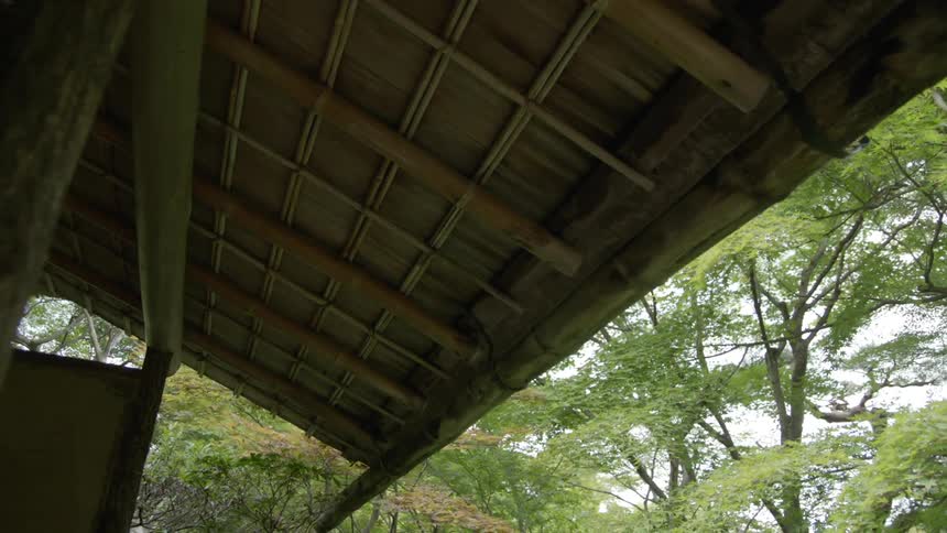 A wooden roof has trees hanging over it