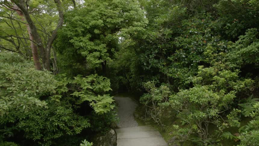 A walkway curves among the trees and bushes