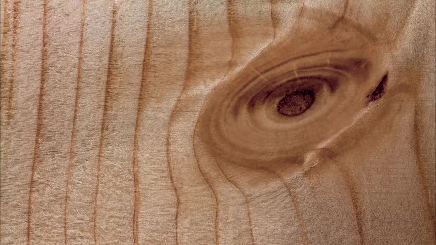 Close up of a wooden knot in abstract motion