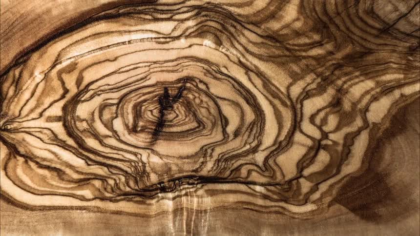Section of wood with intense concentric and wavy patterns