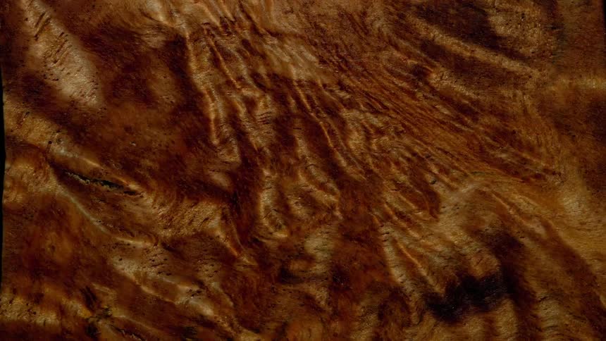 Detailed wood pattern with wavy texture and irregular grain in intense shades of brown