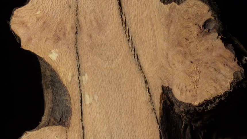 Tree bark melts into a liquid