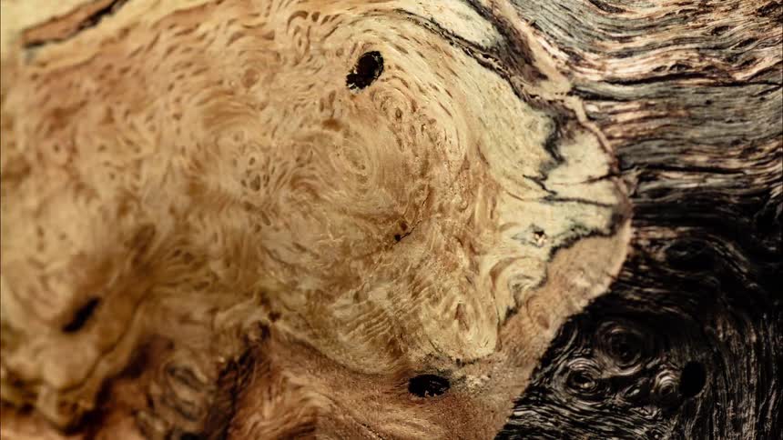 Close up of abstract decaying wood