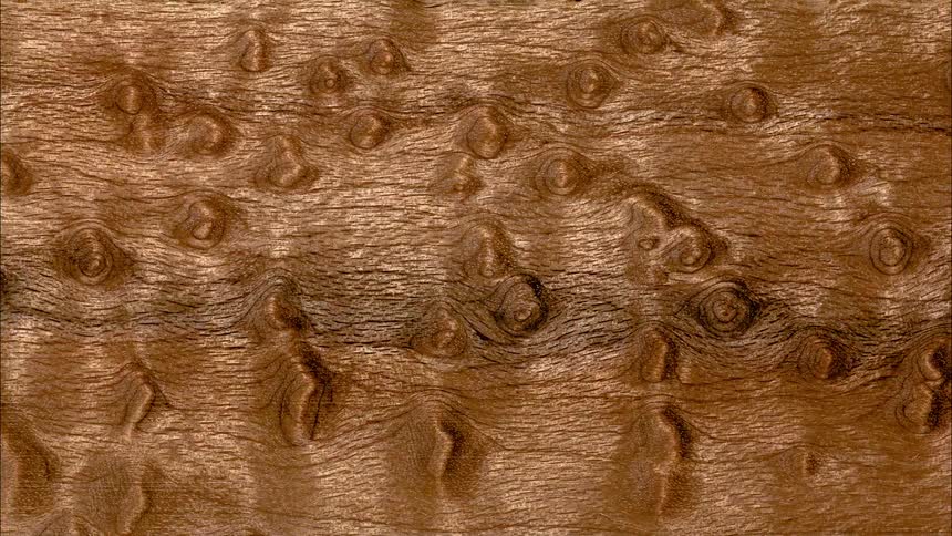 Abstract surface of wood knots