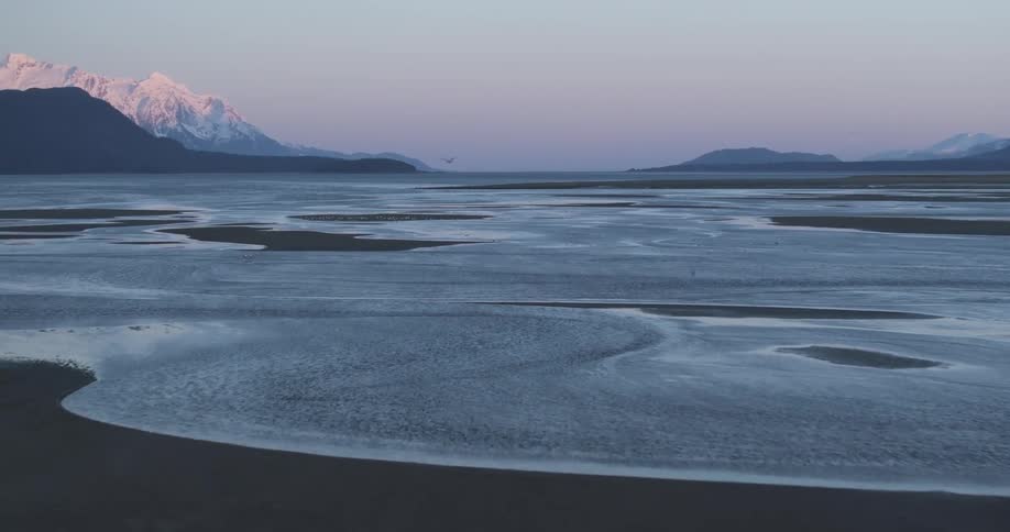 Aerial of birds flying above an ocean, river estuary at sunset