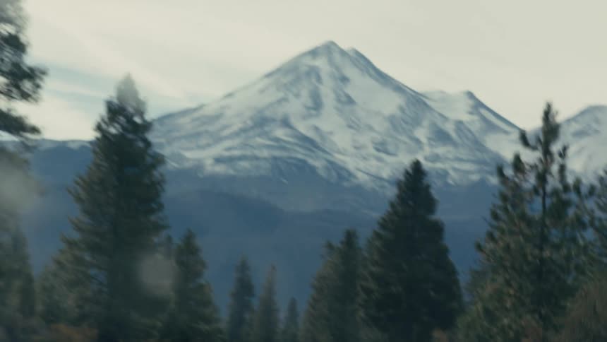 A scenic view of a snowcapped mountain surrounded by tall pine trees under a cloudy sky