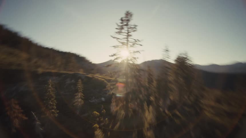 Aerial of mountains and an evergreen forest on a sunny day