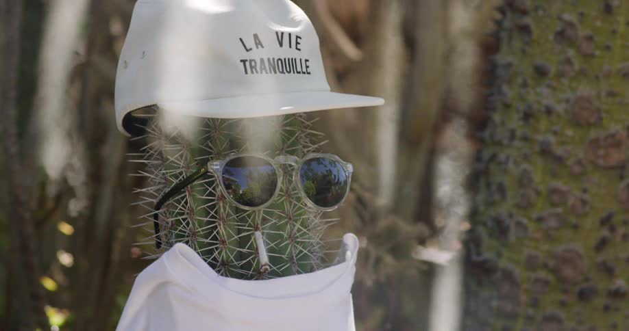 Person placing a lit cigarette on a cactus adorned with a cap and sunglasses