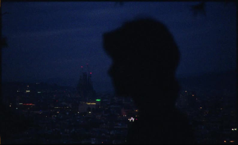 Side silhouette of a person outdoors overlooking a nightlit city in the background