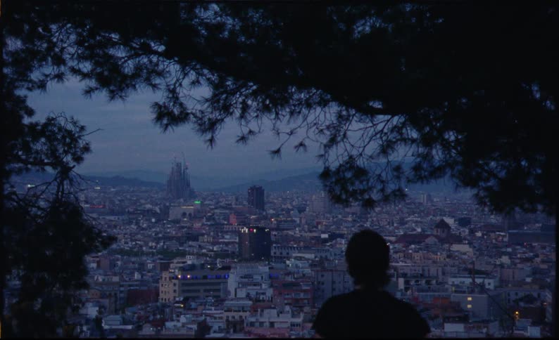 Person in an elevated environment observing a panoramic view of a city in the late afternoon