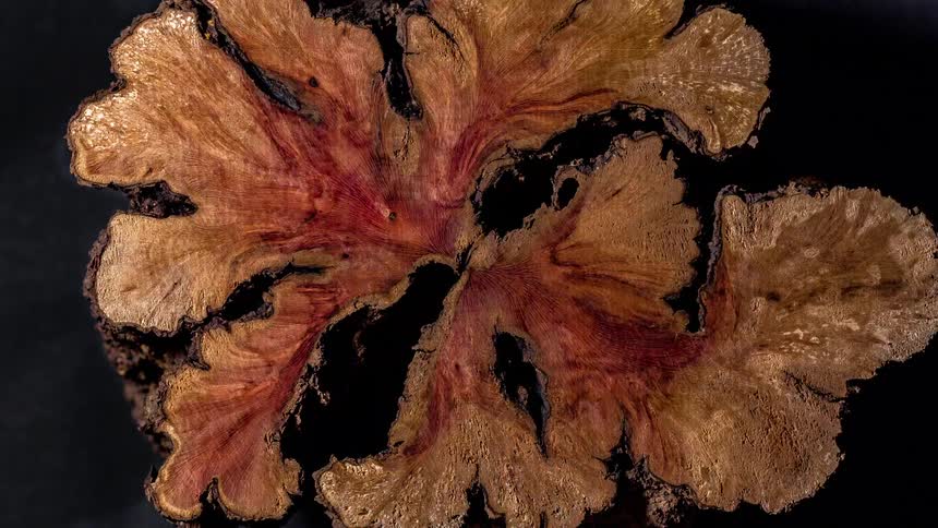 An abstract image of a brown liquid substance