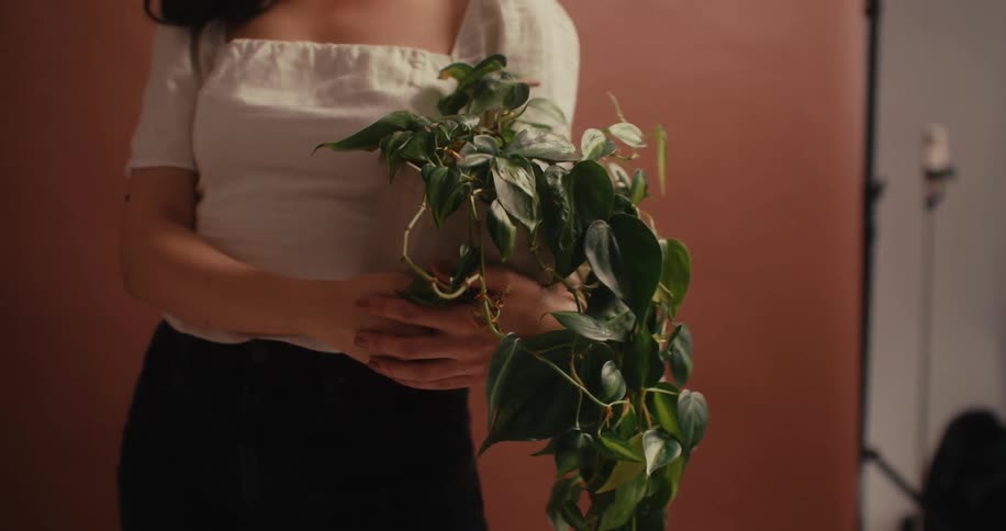 A person holds a potted plant with trailing green leaves