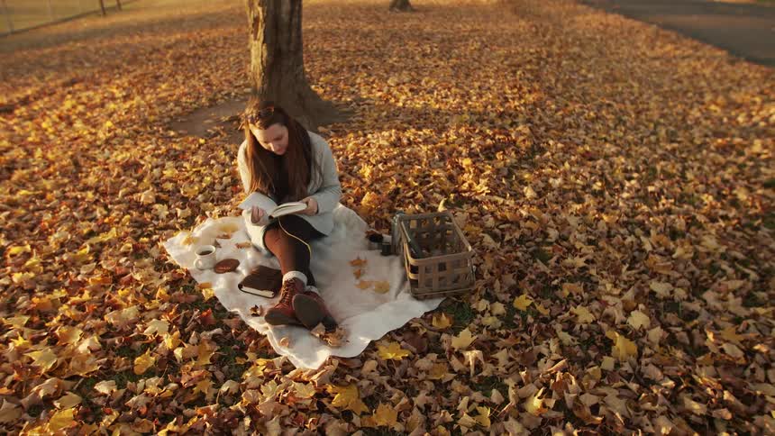 Woman reads a book while sitting on a blanket spread on fallen leaves in the park on an autumn day