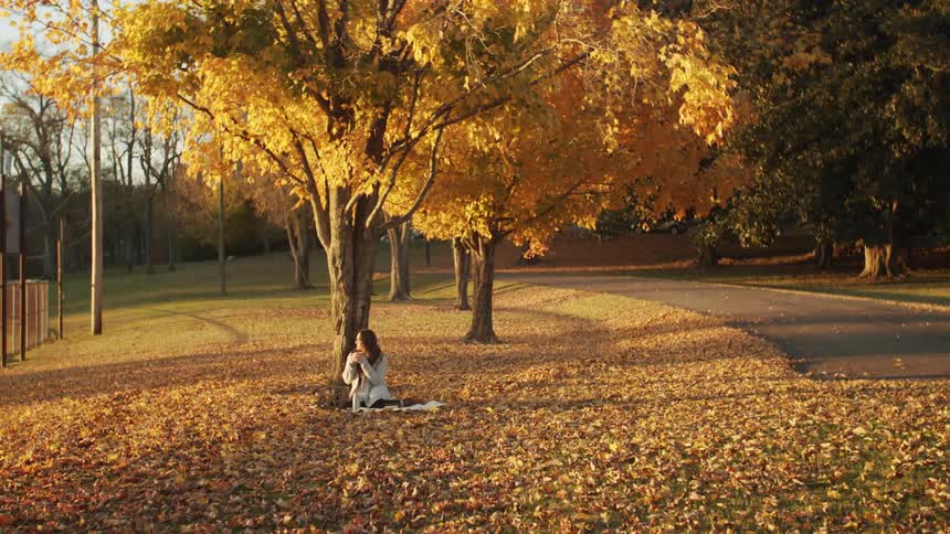 A woman sitting with her back against a tree surrounded by dry leaves in the autumn