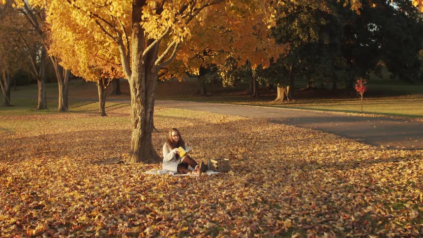A woman is reading in the park