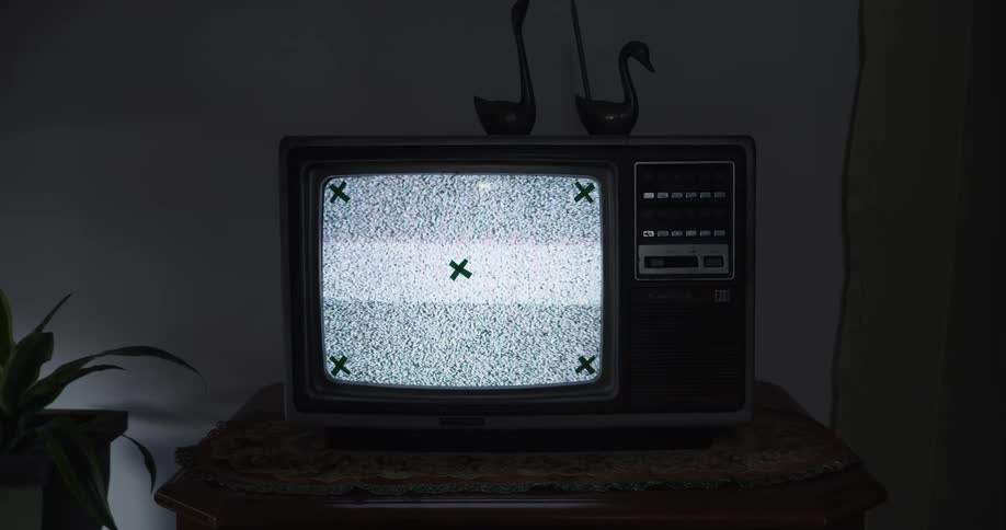 A vintage television displaying static with x marks on the screen sits on a wooden cabinet accompanied by a potted plant and two bird figurines