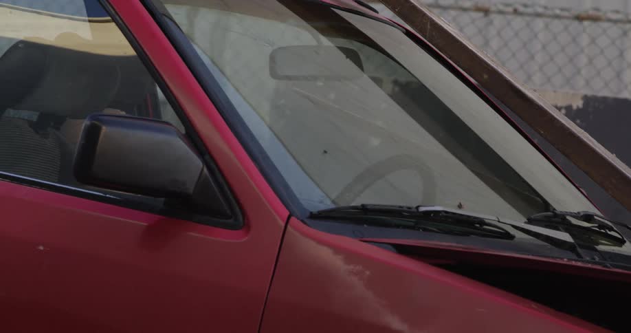 Wood falls crushing the hood of a car