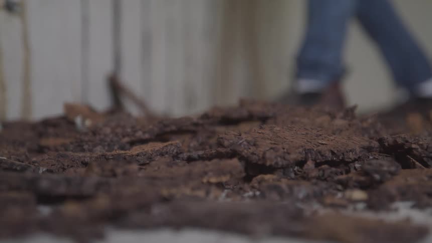 Brown pieces fall to the ground as a person stands nearby