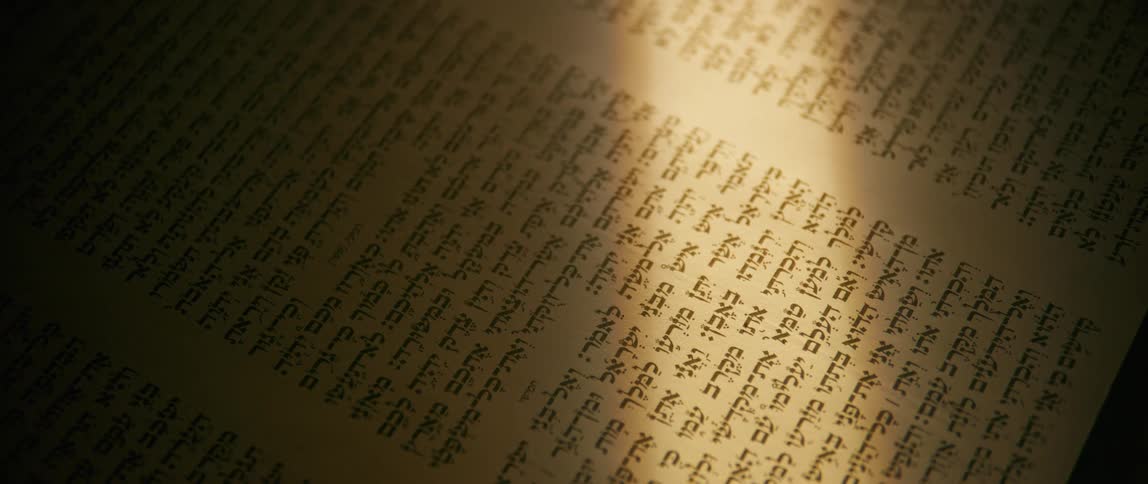A publication is rolled out covered in words