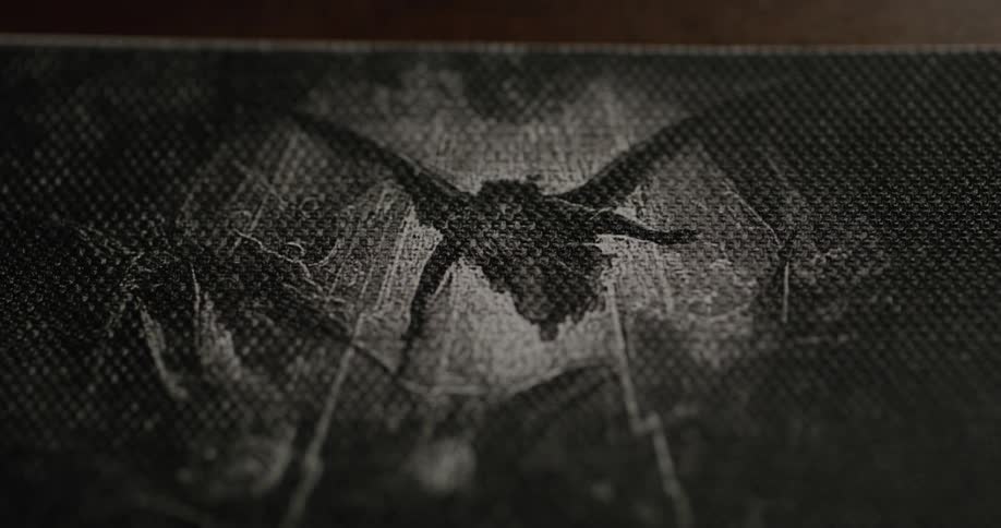 Close up of a black and white artistic surface