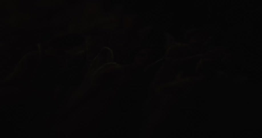 A painting of a woman with wings lying on a surface alternately illuminated by light and then cast into darkness