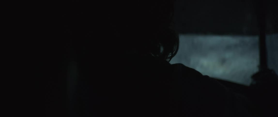 A person is in a car going down a dark rainy road in a forest