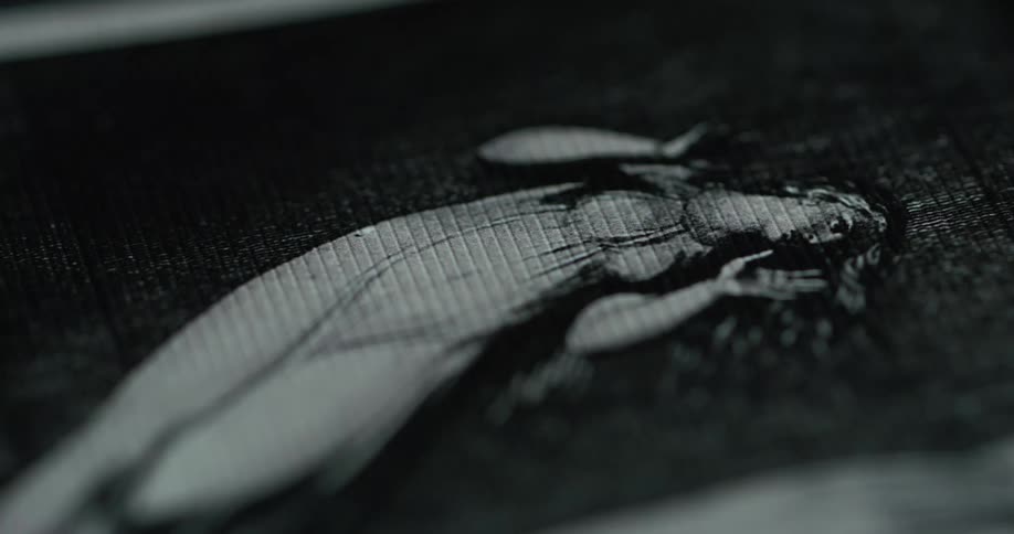 Close up of artwork of a woman in white dress