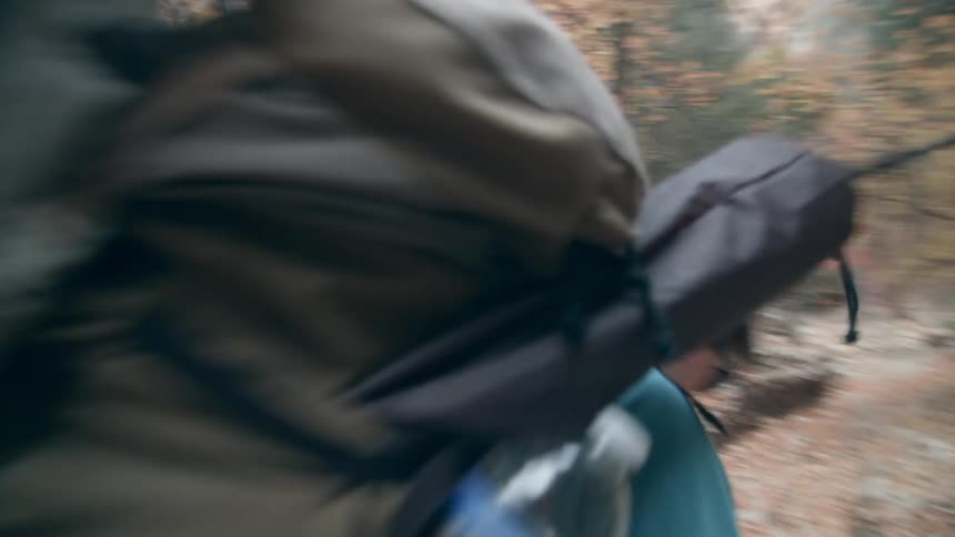 Man wearing a backpack hikes through the woods with a walking stick