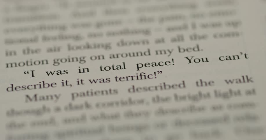 A quote from a paragraph in a literature book